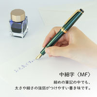 【アウトレット】セーラー万年筆 四季織 雪月空葉 万葉 万年筆 MF(中細字) 101624302 1本