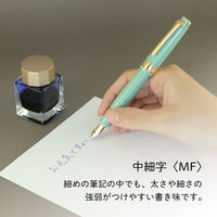 セーラー万年筆 四季織 おとぎばなし 万年筆 竜宮城 MF(中細字) 101227301 1本