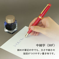 【アウトレット】セーラー万年筆 四季織 おとぎばなし 万年筆 かぐや姫 MF(中細字) 101227303 1本