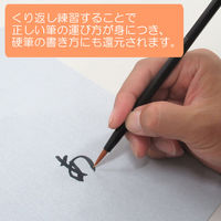 あかしや 書道用品 水書 水書用紙 B5判・無地 AO-63SU 5コ