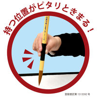 あかしや 書道用筆 細筆 8号 人造毛書写楽FITGRIP <短鋒> ASP-F50 1セット(1本×5)