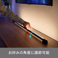 シグニファイ Hue Signe ライトチューブ PLH24LT 1個（直送品）