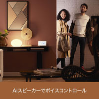 シグニファイ Hue ホワイトグラデーションシングル E26 75W PLH29WG 1個（直送品）