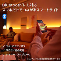 シグニファイ Hue ホワイトグラデーションスターターセット 75W PLH32GS 1個（直送品）