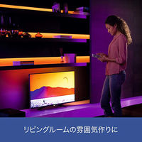 シグニファイ Hue ライトリボンエクステンション PLH38LS 1個（直送品）
