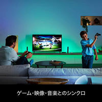 シグニファイ Hue ブリッジ PF版 PLH53BR 1個（直送品）