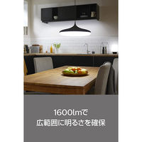 シグニファイ Hue ホワイトグラデーションシングルランプ 100W PF版 PLH73GL 1個（直送品）