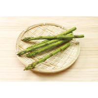 アーテック 樹脂粘土セレネでつくるフェイクフードベーシックキット 23762 1個