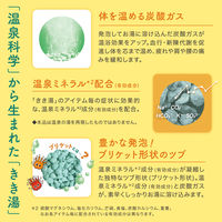 きき湯 炭酸入浴剤 食塩炭酸湯 360g お湯の色 乳緑色の湯（にごりタイプ）1個 アース製薬