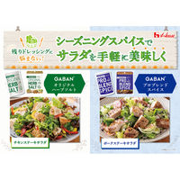 GABAN オリジナルハーブソルト 袋入り 17g 3個 ハウス食品 チャック付き袋