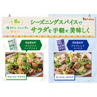 GABAN オリジナルハーブソルト 60g 3個 ハウス食品