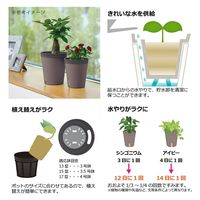 リッチェル ミエルノPlusポット 17型 ダークブラウン 270944 1個（直送品）