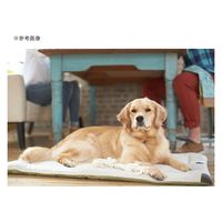 ダッドウェイ TALL TAILS クラシックマット ベルボア セージ L 284081 1個（直送品）