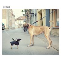 ダッドウェイ WAW イージードッグウォーク XXS ブラック 284068 1個（直送品）