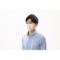 アイリスオーヤマ ナノエアーマスク　ふつう　PK-NI50L　1箱（50枚入：25枚入×2パック）（直送品）