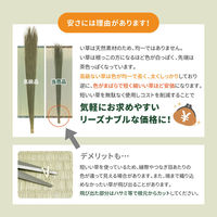 【玄関渡し】 萩原 い草カーペット　柳川（やながわ）　江戸間10畳  440×352cm（直送品）