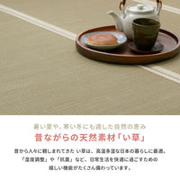 【玄関渡し】 萩原 折り畳める　畳マットレス　貴船　セミダブル　（彩　縁有）  120×200cm（直送品）