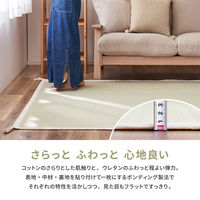 【玄関渡し】 萩原 洗えるインド綿ラグ　アルト　すべり止め付き グリーン 185×240cm（直送品）