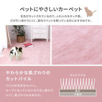 【玄関渡し】 萩原 パステルカラーの日本製抗菌カーペット　ファーレ　 江戸間 4.5畳  グリーン 261×261cm（直送品）