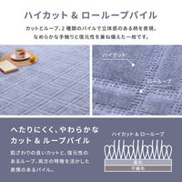 【玄関渡し】 萩原 抗菌・防臭加工の平織カーペット　シオン　本間3畳 ブルー 191×286cm（直送品）