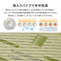 【玄関渡し】 萩原 洗えるい草風カーペット　やなぎ　江戸間8畳 グリーン 348×352cm（直送品）