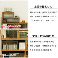 エイ・アイ・エス 便利な棚 幅600×奥行200×高さ174mm ブラウン GU-SET13 BR 1台（直送品）