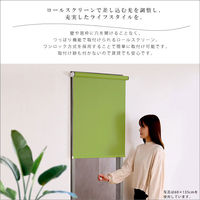 ホームテイスト 壁空け不要 つっぱりロールスクリーン 遮光タイプ イエロー SH-16-S60 1枚（直送品）