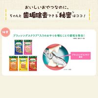 ペットキッス にぼし 国産 12g 2袋 キャットフード おやつ オーラルケア