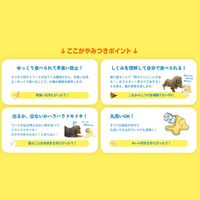 わんこのでるでる自飯器 犬用 国産 1個 ドギーマン