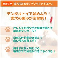 Hartz（ハーツ）犬用 デンタル ボーン M いちごフレーバー 小型犬用 1個 おもちゃ 歯みがき玩具