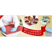 ササミふりかけ 犬用 ササミとチーズ 小粒タイプ 国産 230g 2袋 九州ペットフード ドッグフード おやつ