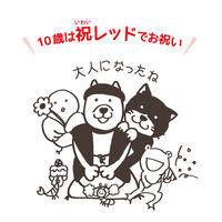 チョイあげの食器 Chokki 犬用 祝レッド シリコン付き わんわん