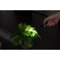 懐中電灯 ミニ LED ジェントス IPX4準拠 ミニトーチ 80lm SNMシリーズ SNM-H41D 1個