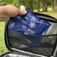 【保冷剤】 山善（YAMAZEN） ICE IMPACT 300 CIIS-300 1個