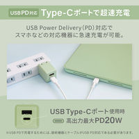 オウルテック PD20W 持ち歩きたくなる可愛いニュアンスカラーのAC充電器 ペールアイリス OWL-APD20A1C1R-PU 1個