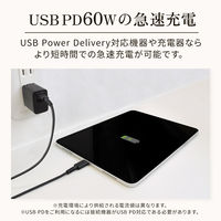 OWLTECH PD60W やわらかく断線に強い USB C to Cケーブル2m ホワイト OWL-CBPTCC20-WH 1個