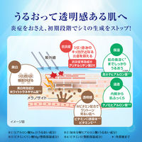肌ラボ 白潤プレミアム 薬用浸透美白化粧水 つめかえ用 170mL×2個 ロート製薬
