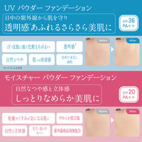 ちふれ化粧品 ファンデーションケースD1