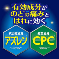 のどぬ～るスプレーナイテクト 15ml 小林製薬【第3類医薬品】