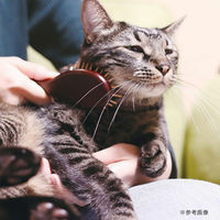 ドギーマンハヤシ キャティーマン ナチュラルスタイル 木製 ピンブラッシングブラシ 270239 1個（直送品）