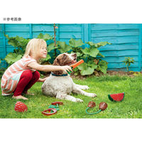 ラガー ROSEWOOD バイオセーフ スマートトイ パインアップル 284635 1個（直送品）