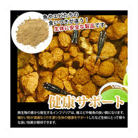 o-o-company OーOー (オーオー) 微生物の素 10g 335889 1個（直送品）