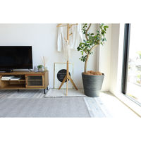 市場 ポールハンガー コニー ナチュラル ILH-3664NA 1台