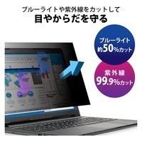 プライバシーフィルター のぞき見防止 抗菌 13.3Wインチ（16:10） EF-PFK133W10E エレコム 1個（直送品）