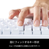 キーボード 有線 着脱式USBケーブル 茶軸 タクタイル テンキー付き ホワイト TK-MC50UKTWH エレコム 1個