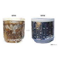 洗濯槽キレイサッパリ 50g小分けパック　5パック（12個入×5） 600g アーネスト