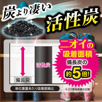 ノンスメルドライ くつ用 除湿＆脱臭 大容量 4足分 5個（8シート入×5） 白元アース