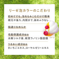 liese（リーゼ） 泡カラー ディープバイオレット 5個　花王