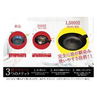 藤田金属 こだわり職人 使いやすい鉄フライパン 20cm #065700 1個