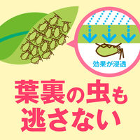 アースガーデン 花いとし 1000ml 5個 園芸用 殺虫剤 殺菌剤 アース製薬